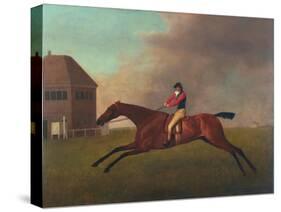 Baronet with Sam Chifney Up, 1791-George Stubbs-Stretched Canvas
