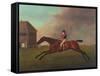 Baronet with Sam Chifney Up, 1791-George Stubbs-Framed Stretched Canvas
