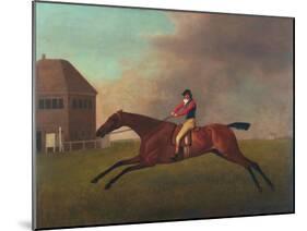 Baronet with Sam Chifney Up, 1791-George Stubbs-Mounted Giclee Print