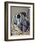 Baroque 3-Design Fabrikken-Framed Photographic Print