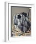 Baroque 3-Design Fabrikken-Framed Photographic Print