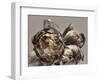 Baroque 4-Design Fabrikken-Framed Photographic Print