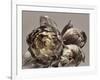 Baroque 4-Design Fabrikken-Framed Photographic Print