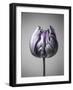 Baroque 5-Design Fabrikken-Framed Photographic Print