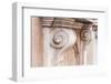 Baroque Architecture Details in Bologna-Petra Daisenberger-Framed Photographic Print