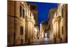 Baroque architecture of Lecce at blue hour, Salento, Apulia, Italy, Europe-Karen Deakin-Mounted Photographic Print