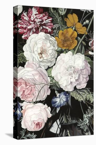 Baroque Botanica II-Naomi McCavitt-Stretched Canvas