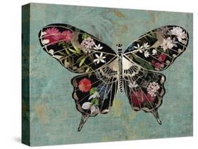 Baroque Buttrerfly-Aimee Wilson-Stretched Canvas