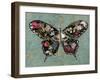 Baroque Buttrerfly-Aimee Wilson-Framed Art Print