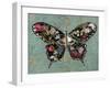 Baroque Buttrerfly-Aimee Wilson-Framed Art Print
