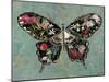 Baroque Buttrerfly-Aimee Wilson-Mounted Art Print