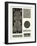 Baroque Details II-Vision Studio-Framed Art Print