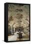 Baroque Hall of National Library of Czech Republic-null-Framed Stretched Canvas