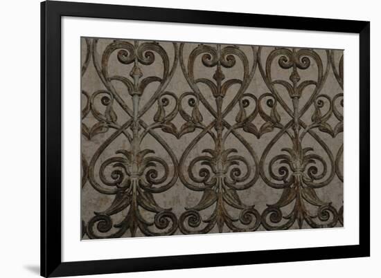 Baroque Lattice-Michael Banks-Framed Giclee Print