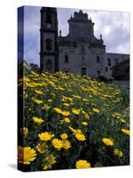 Baroque Style Cathedral and Yellow Daisies, Lipari, Sicily, Italy-Michele Molinari-Stretched Canvas