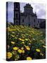 Baroque Style Cathedral and Yellow Daisies, Lipari, Sicily, Italy-Michele Molinari-Stretched Canvas