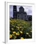 Baroque Style Cathedral and Yellow Daisies, Lipari, Sicily, Italy-Michele Molinari-Framed Premium Photographic Print