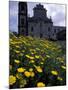 Baroque Style Cathedral and Yellow Daisies, Lipari, Sicily, Italy-Michele Molinari-Mounted Premium Photographic Print