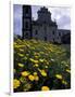 Baroque Style Cathedral and Yellow Daisies, Lipari, Sicily, Italy-Michele Molinari-Framed Photographic Print