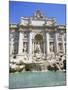 Baroque Style, Trevi Fountain (Fontana Di Trevi), Rome, Lazio, Italy, Europe-Gavin Hellier-Mounted Photographic Print