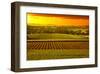 Barossa Vineyards Australia-null-Framed Art Print