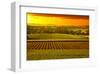 Barossa Vineyards Australia-null-Framed Art Print