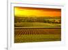 Barossa Vineyards Australia-null-Framed Art Print