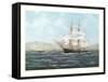 Barque Annie Johnson-Unknown Scott-Framed Stretched Canvas