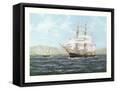 Framed Canvas