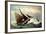 Barque De Pêche Au Large, Segelboote, C 104, Sturm-null-Framed Giclee Print