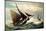 Barque De Pêche Au Large, Segelboote, C 104, Sturm-null-Mounted Giclee Print