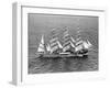 Barque Pamir in the English Channel after a 13,000 Mile Journey from Wellington, New Zealand-null-Framed Premium Photographic Print