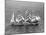 Barque Pamir in the English Channel after a 13,000 Mile Journey from Wellington, New Zealand-null-Mounted Premium Photographic Print