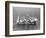 Barque Pamir in the English Channel after a 13,000 Mile Journey from Wellington, New Zealand-null-Framed Photographic Print