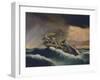 Barquentine Daino-null-Framed Giclee Print