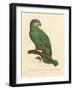 Barraband Parrot No. 110-Jacques Barraband-Framed Art Print