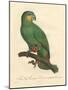 Barraband Parrot No. 110-Jacques Barraband-Mounted Art Print