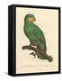 Barraband Parrot No. 110-Jacques Barraband-Framed Stretched Canvas