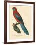 Barraband Parrot No. 78-Jacques Barraband-Framed Art Print