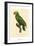 Barraband Parrot No. 86-Jacques Barraband-Framed Art Print