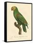 Barraband Parrot No. 86-Jacques Barraband-Framed Stretched Canvas
