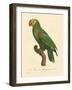 Barraband Parrot No. 86-Jacques Barraband-Framed Art Print