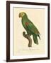 Barraband Parrot No. 86-Jacques Barraband-Framed Art Print