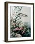 Barracuda and Reef Fishes-null-Framed Giclee Print