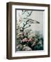 Barracuda and Reef Fishes-null-Framed Giclee Print