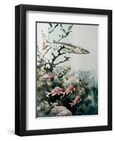 Barracuda and Reef Fishes-null-Framed Giclee Print