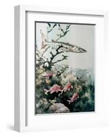 Barracuda and Reef Fishes-null-Framed Giclee Print