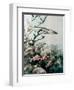 Barracuda and Reef Fishes-null-Framed Giclee Print