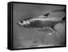 Barracuda Swimming Through the Ocean-null-Framed Stretched Canvas