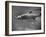 Barracuda Swimming Through the Ocean-null-Framed Photographic Print